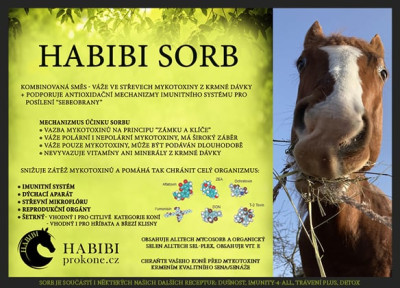 Habibi-SORB